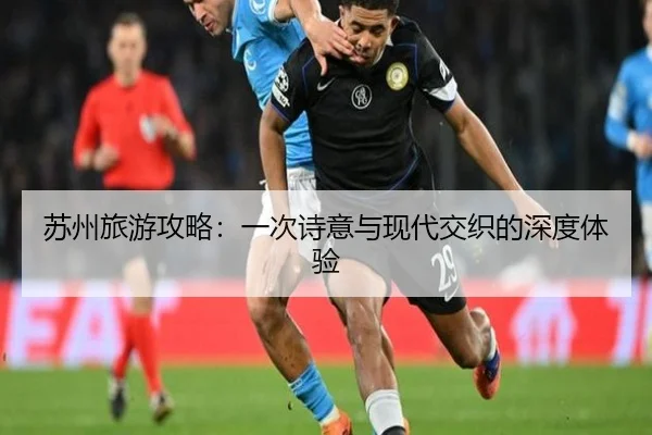 苏州旅游攻略：一次诗意与现代交织的深度体验（leyu）