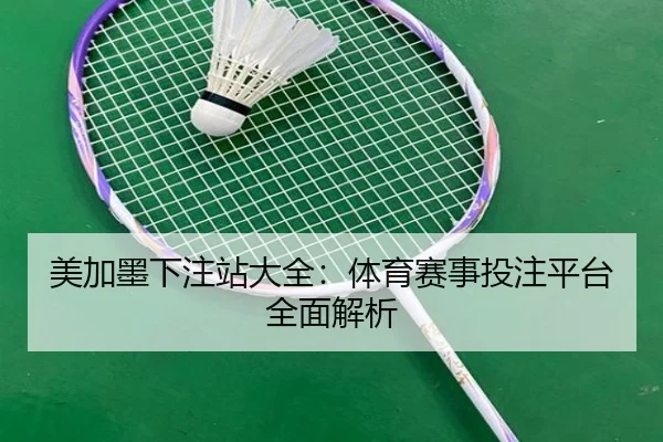 美加墨下注站大全：体育赛事投注平台全面解析（leyu）