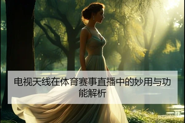 电视天线在体育赛事直播中的妙用与功能解析（leyu）